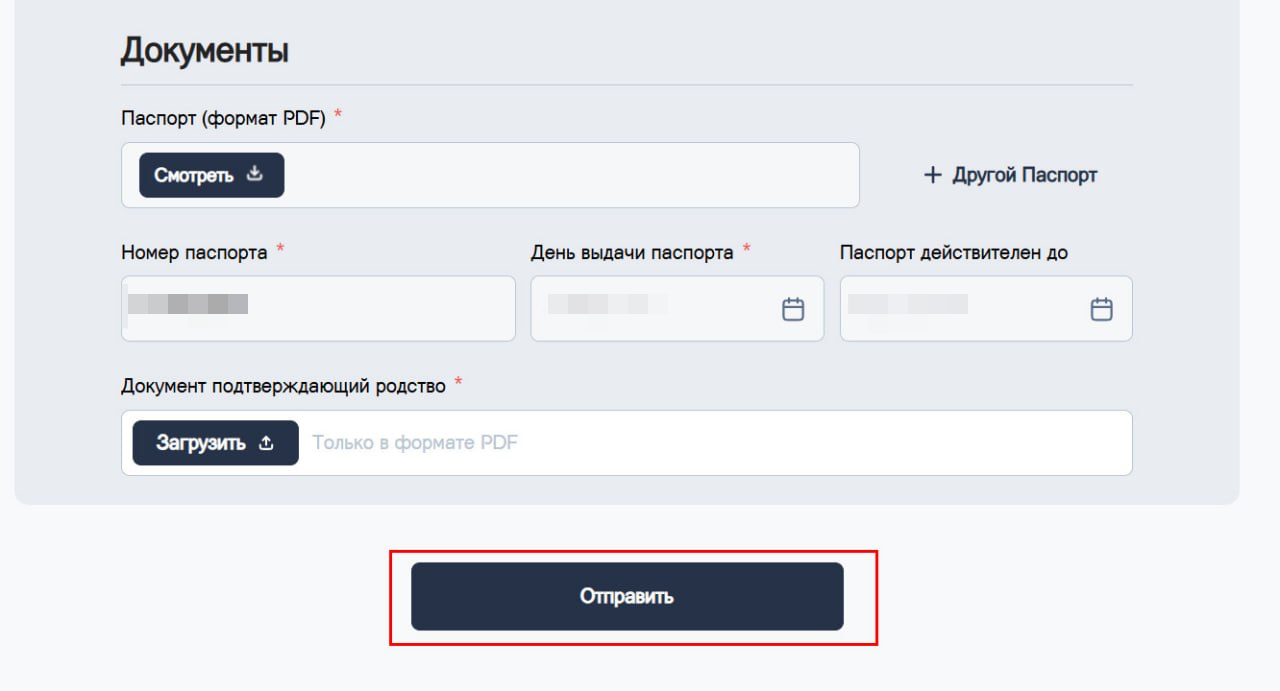 При “новой” подаче также можно приложить новый скан паспорта, если он изменился.