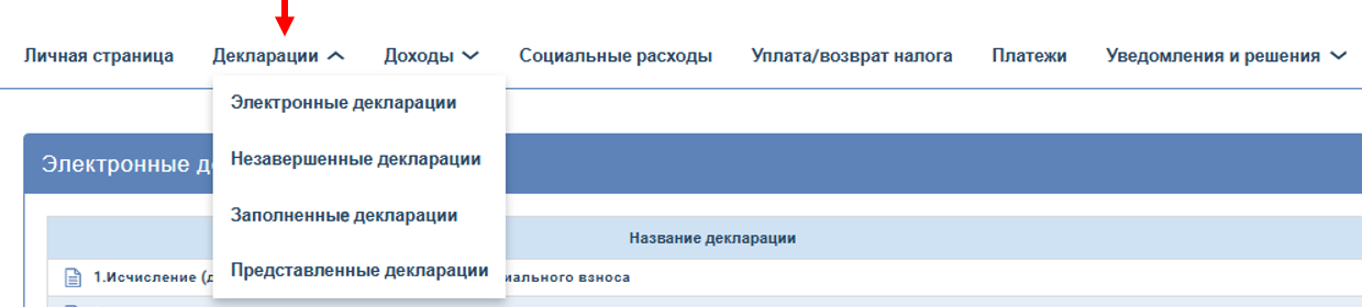 Раздел Декларации
