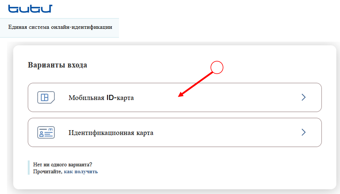Вид экрана после щечка по кнопке входа через систему Есем