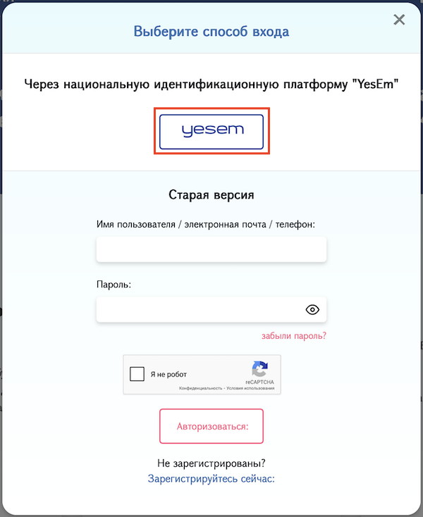 Выбор опции входа через платформу Yes Em